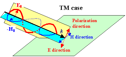 Tm волны. ТМ волна. Te TM поляризация. Te и TM волны. Те и ТМ волны.