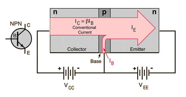 tran2.gif