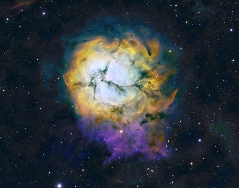 Trifid2024_Final_SmallForPF.jpg