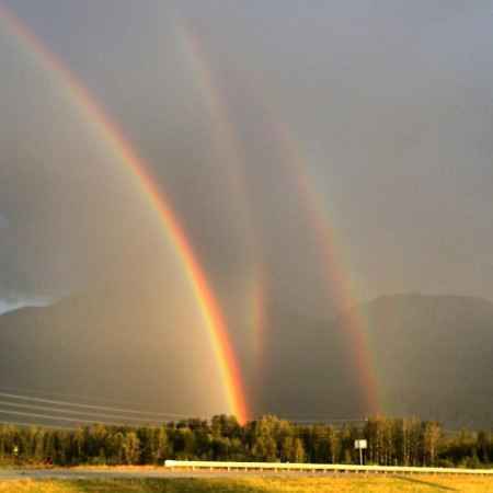 triple-rainbow-450x450.jpg