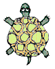 turtle2_zpschbdj1jm.gif