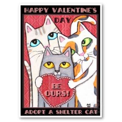 valentinesdaysheltercat.jpg