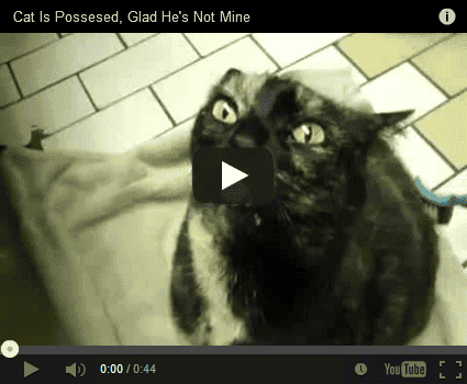 youtube_posessed_cat.png