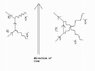 feynman diagram.JPG