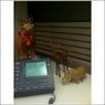 office animals1.JPG