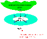 haemoglobin.gif