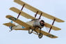 triplane.jpg