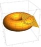 torus contour.jpg