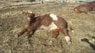 20180306_101827.jpg