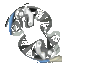 220px-Peristaltic_pump.gif