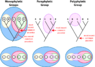 Tree Monophyletic Groups Venn Diagrams.png