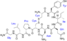 Oxytocin_with_labels.png