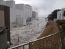 Plant inundationpoint 1.JPG