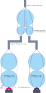 Faserkopplung 2 LEDs 2.png