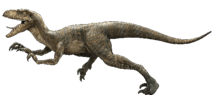 Velociraptor.png