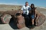 060529Petrified Forest estrn AZ.jpg