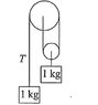 physics forum pulley problem 1.jpg