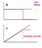 PF070115termvelocity.gif