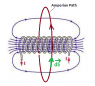 Solenoid Amperian Path.png