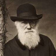 Darwinspet