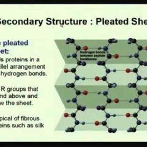 Biochemical Engineering (NPTEL):- Lecture 07: Proteins