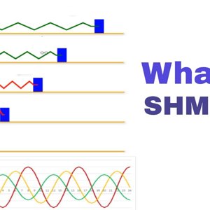 Simple Harmonic Motion