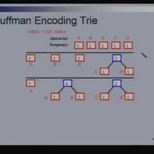 Lecture - 19 Data Compression - Data Structures and Algorithms by Dr. Naveen Garg (NPTEL)