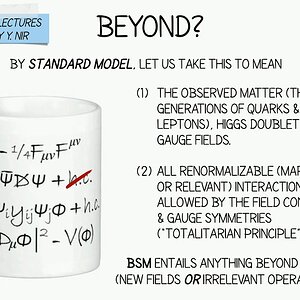 Beyond the SM at the TeV scale - Lecture 1