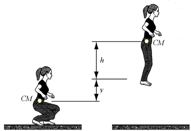 Actions on or by deformable bodies