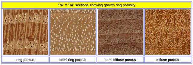 TYPES OF GROWTH RINGS