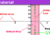 Riemann Hypothesis